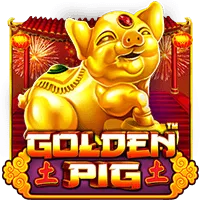 pp image